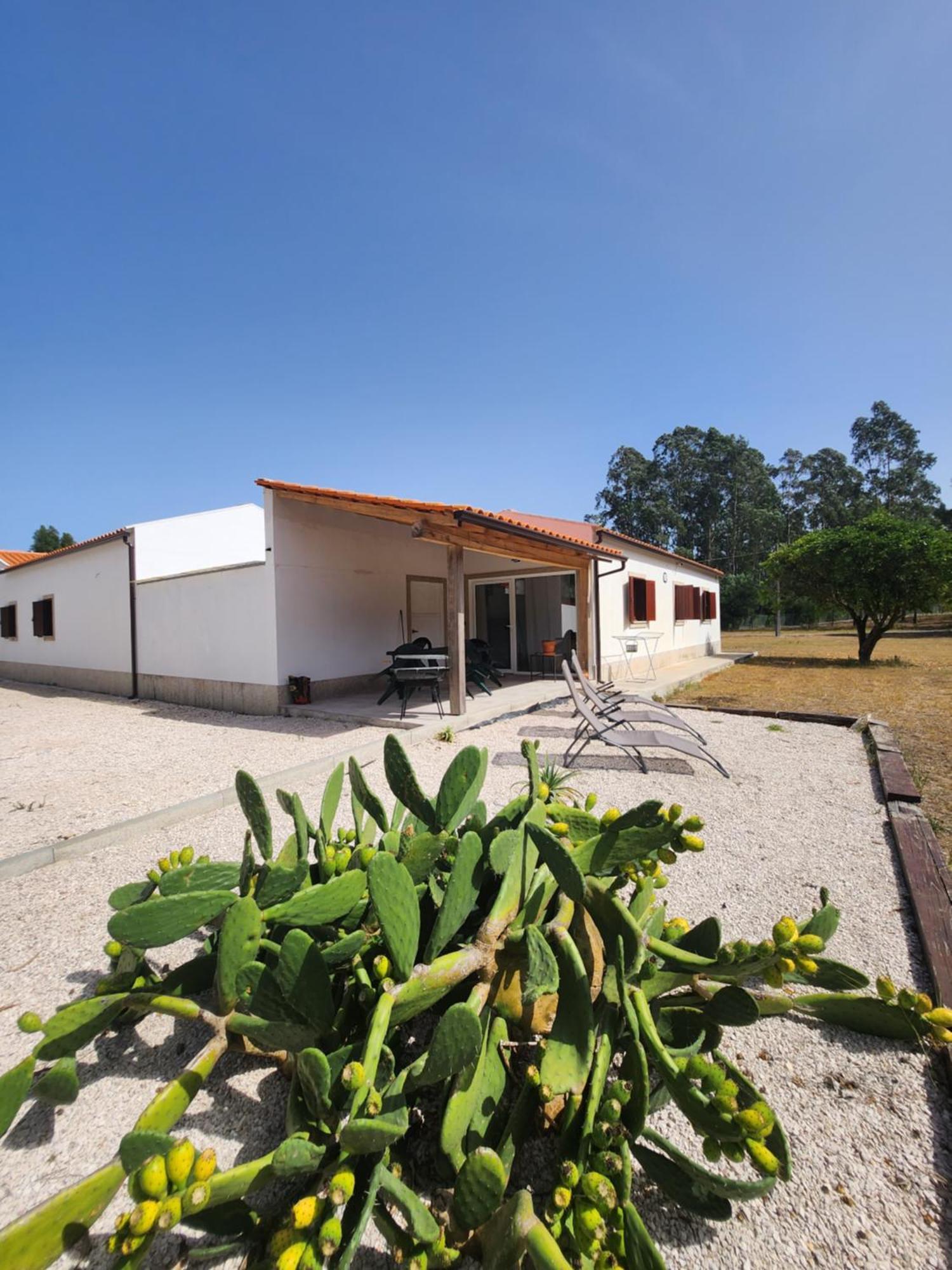 Quinta Das Camarinhas Cantanhede Buitenkant foto